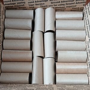 89 Empty Toilet Paper Rolls Sunday School Craft Camp Scout Cardboard Tube